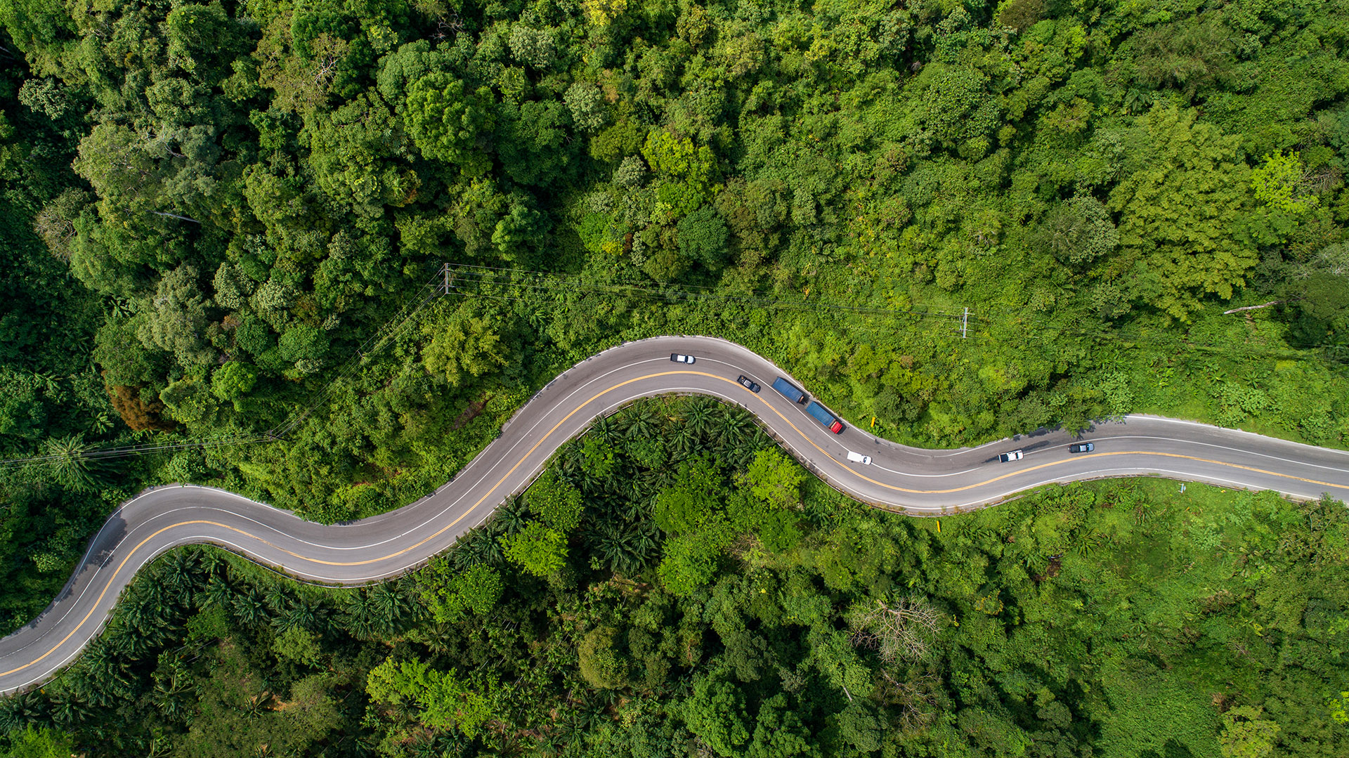 Strade a basso impatto ambientale